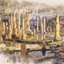 Load image into Gallery viewer, Rainbow Forest Set