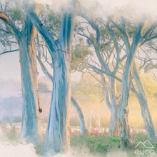 Load image into Gallery viewer, Autumn Gum Trees