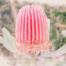Load image into Gallery viewer, Banksia Stacker
