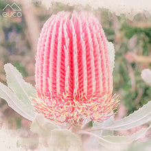 Load image into Gallery viewer, Banksia Stacker