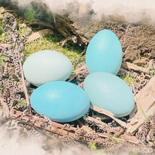 Load image into Gallery viewer, Emu Eggs