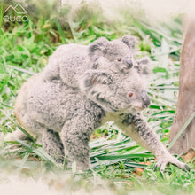 Load image into Gallery viewer, Koala Roller
