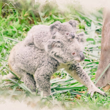 Load image into Gallery viewer, Koala Roller