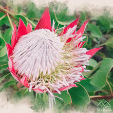 Load image into Gallery viewer, Protea Stacker
