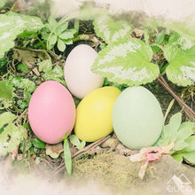 Load image into Gallery viewer, Eggs from the Forest
